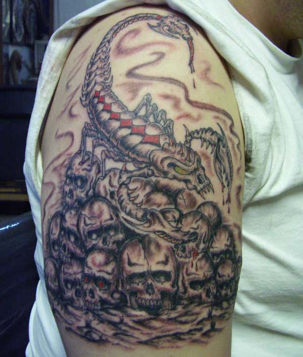 Skorpion idÄ…cy po czaszkach