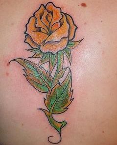 ZÃ³Å‚to-zielona rÃ³Å¼a