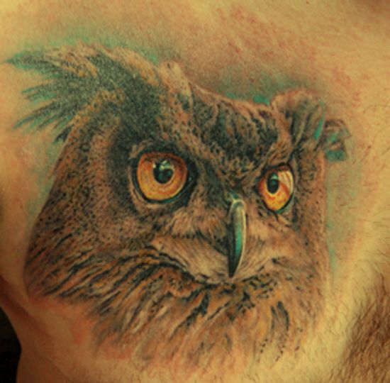 Sowa z duÅ¼ymi oczami