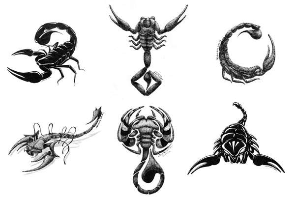 SzeÅ›Ä‡ skorpionÃ³w