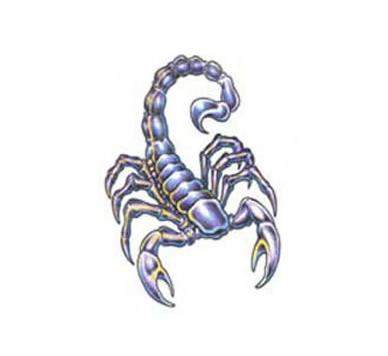 Fioletowo-Å¼Ã³Å‚ty skorpion