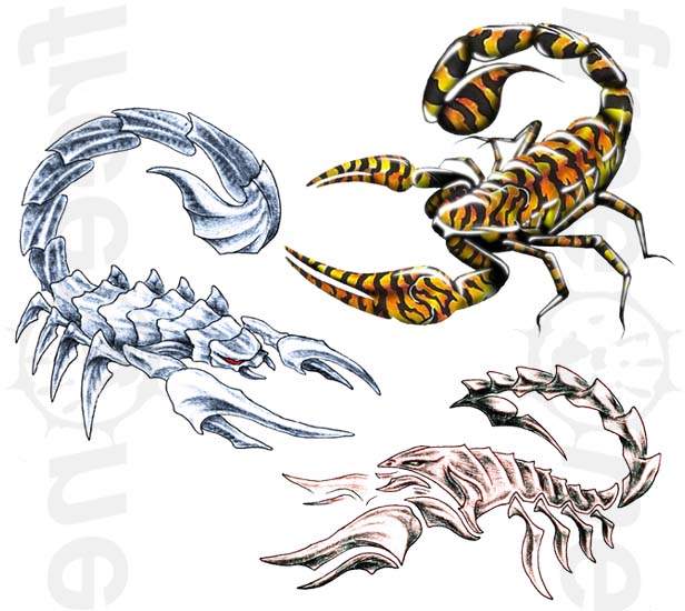 Trzy kolorowe skorpiony