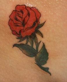 RÃ³Å¼yczka w czerwonym kolorze