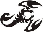Czarny tribalowy skorpion