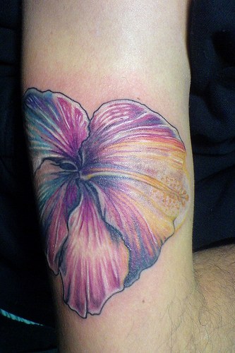 TÄ™czowy hibiskus