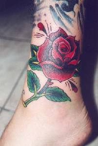 Czerwona rÃ³Å¼Ä… z liÅ›Ä‡mi