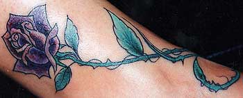 Fioletowa rÃ³Å¼a z kolcami