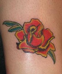 Czerwono-Å¼Ã³Å‚te pÅ‚atki rÃ³Å¼y