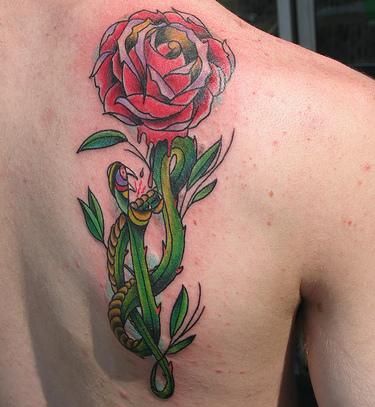 RÃ³Å¼a kapiÄ…ca krwiÄ…