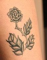 RÃ³Å¼a z duÅ¼ymi liÅ›Ä‡mi